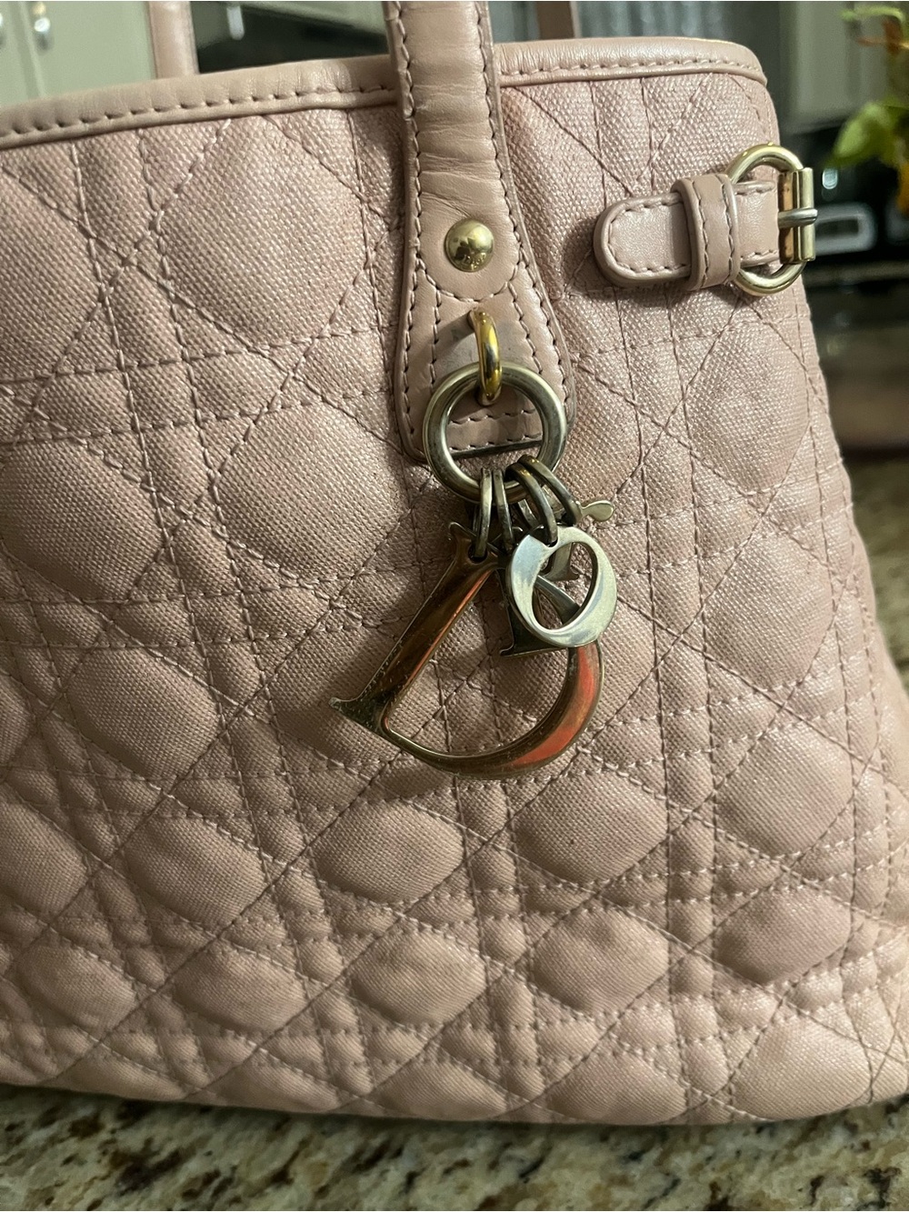 Dior Blush Quilted Leather Shoulder Tote with Signature Charms - Picture 3 of 16